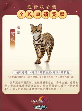天龙八部私服bt版本